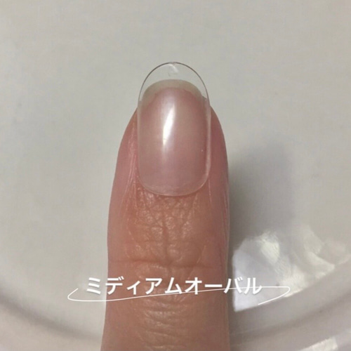 サイズ確認用ネイルチップ（長さ調節無料） ネイルチップ（つけ爪  