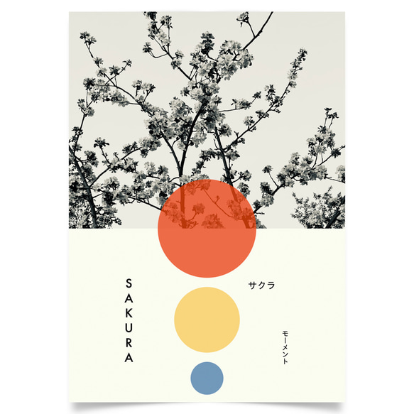 写真・アートポスター sakura / 桜 木 空 自然 風景 レトロ 白黒写真 モダンデザイン 7枚目の画像