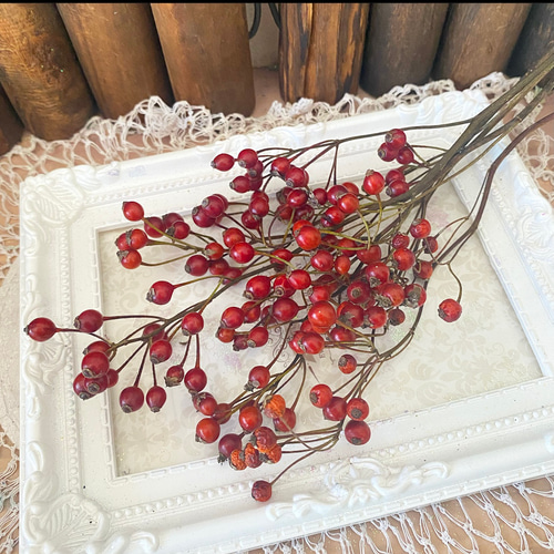 2025年11月再入荷❣️トゲ無し野薔薇の実レッドフレッシュ〜ハンドライ