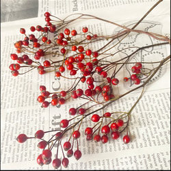 2025年11月再入荷❣️トゲ無し野薔薇の実レッドフレッシュ〜ハンドライ