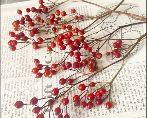 ed9ef776590130d47b16c150051d12