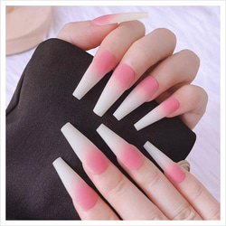 255a0a24d00d1be751a8897c576be5