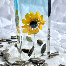 ドライフラワー 小さなひまわり ♡夏季限定商品♡ スターフラワー ミニ ひまわり 10本 ドライ