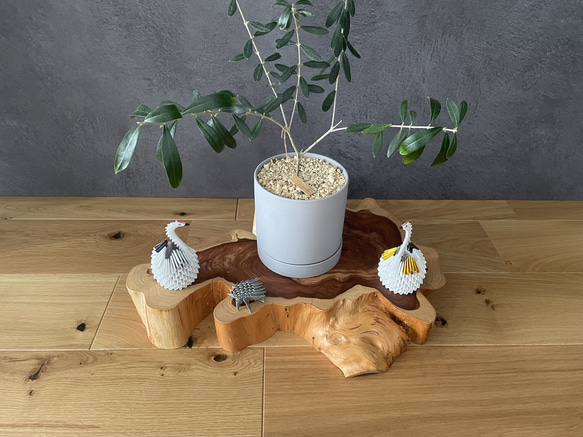 個性派インテリア台｜カイヅカイブキの木肌を活かした自然派花台