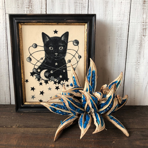 タビビトノキ 種子の宝石 7個咲き 特大美品 不思議な木の実シリーズ