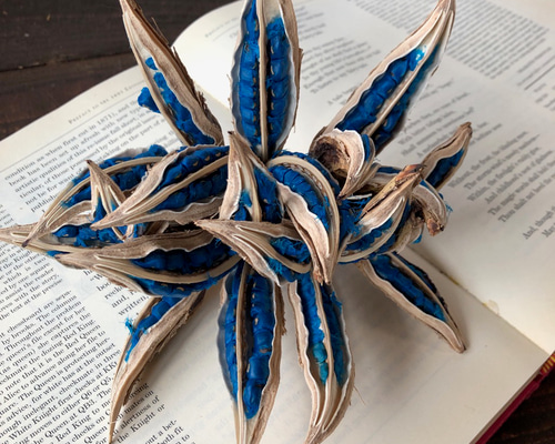 fe11d80f7bb6bc4decd6d25d264cfb