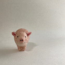キョトン顔の豚さん　置き物 1枚目の画像