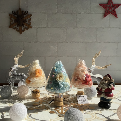 シードボトルツリーMサイズ ハーバリウム・植物標本 ～pieni_piha