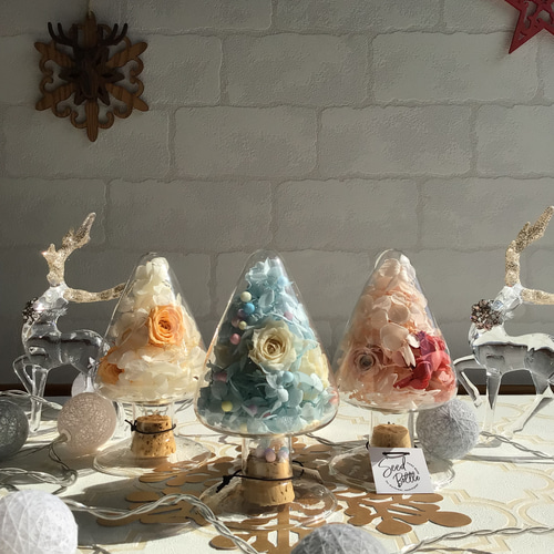 シードボトルツリーMサイズ ハーバリウム・植物標本 ～pieni_piha