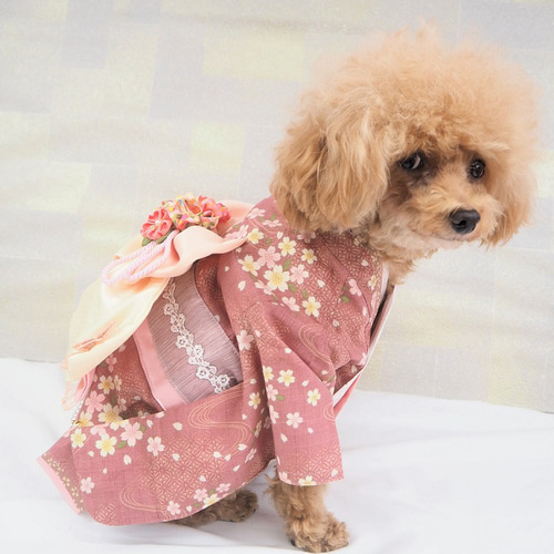 着物 パピー 小型犬 犬 猫 ペット 服 和服 和柄 七五三 P715-726