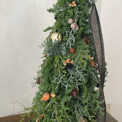 2023Xmas予約【Lサイズ】生～ドライまでを楽しむ♪針葉樹の香りたっぷりのクリスマスツリー 2枚目の画像