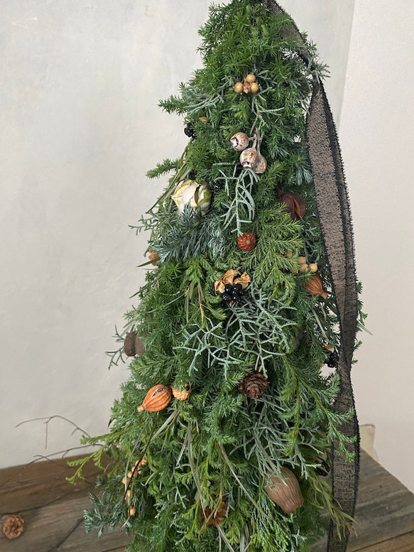 2023Xmas予約【Lサイズ】生～ドライまでを楽しむ♪針葉樹の香りたっぷりのクリスマスツリー 2枚目の画像