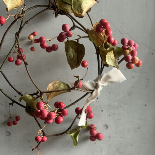 地元愛知のサンキライリース♡貴重な限定品♡ ドライフラワー