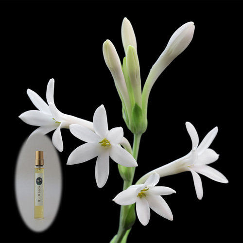 リアル チュベローズの香 10ml 生花の香りの再現 生花のミスト