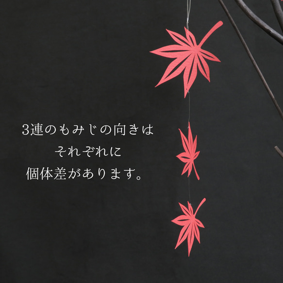 【秋のオーナメント】もみじ切り絵の飾り　お部屋で紅葉狩り　秋のウェルカムスペースやお部屋のインテリア　店舗装飾　 9枚目の画像