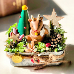 ☆そのまま飾れる☆ドライブ☆サボテン•多肉植物寄せ植え☆ 多肉植物