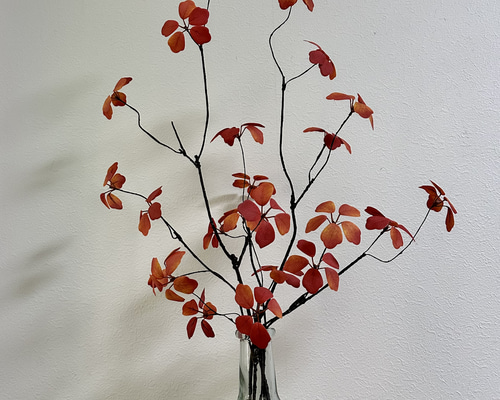 39abd69d75605e1e3d9cf48386f56a