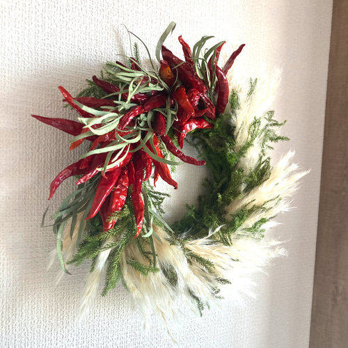 大きめ　ローゼルと唐辛子のリース　ユーカリ　パンパスグラス　秋〰️クリスマス 大きめ ローゼルと唐辛子のリース ユーカリ パンパスグラス 秋
