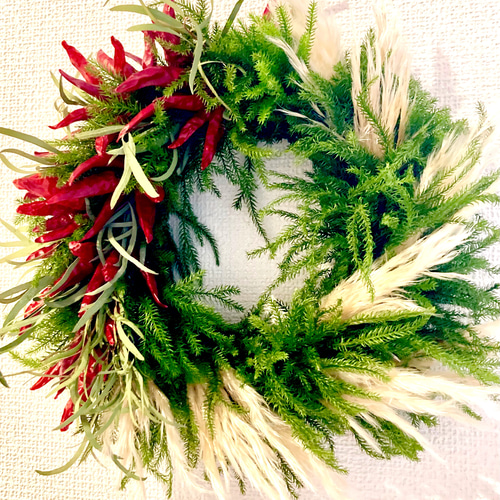 ナチュラルリース　パンパスグラス wreath パンパスグラスのホースシューリース パンパス 秋 ナチュラル