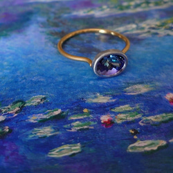 リングライト　ないこ コンパクト三脚付き 10インチLEDリングライト KL-03RL | ケンコー