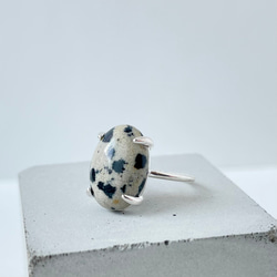 Dalmatian Jasper Oval Ring《SILVER or GOLD》 2枚目の画像
