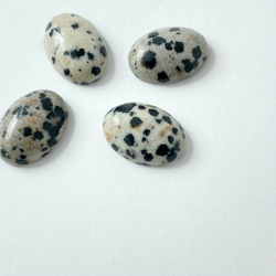 Dalmatian Jasper Oval Ring《SILVER or GOLD》 5枚目の画像