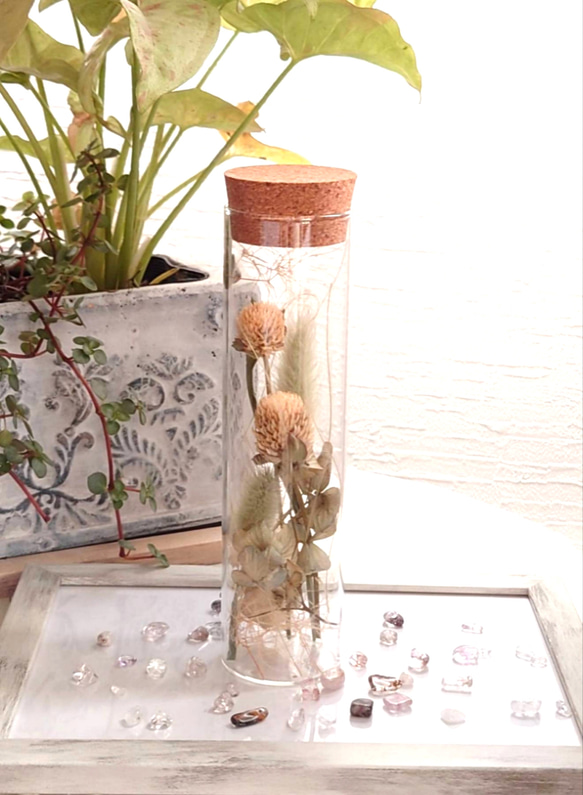 【ドライフラワー】ガラス瓶にあしらった花々 “千日紅‘’ 1枚目の画像