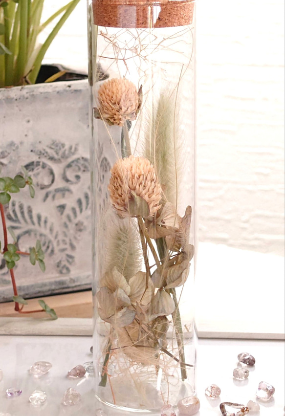 【ドライフラワー】ガラス瓶にあしらった花々 “千日紅‘’ 2枚目の画像