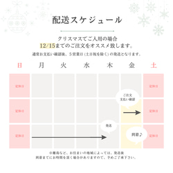 【Creema限定クリスマス2023】【送料無料】【X'masラッピング カード付】ピアス イヤーカフ set パール 20枚目の画像