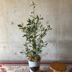 光触媒人工観葉植物ウォールグリーンフェイクフラワーハンドメイド　ブリキオリーブ 2枚目の画像