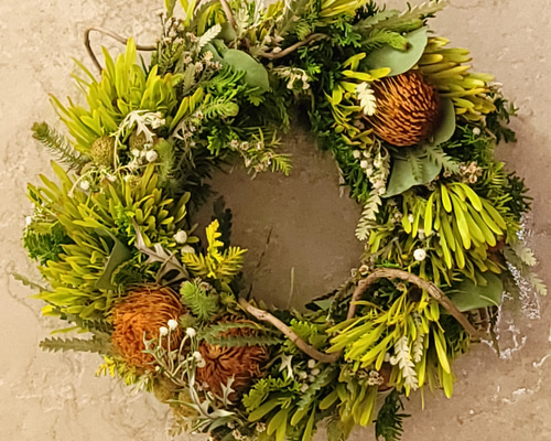 専用＊ネイティブフラワー3種とミモザのドライフラワーリース ネイティブフラワー：ドライアンドラ フォルモーサのリース