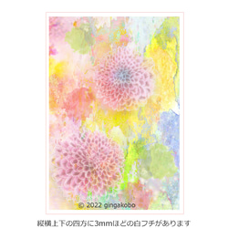 「星見草の詩林」 花　菊　 ほっこりほっこり癒しのイラストポストカード2枚組No.028 1枚目の画像