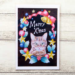クリスマスにゃんこポストカード２枚組　キラキラリースに囲まれた猫ちゃんとサンタ帽を被ったもふもふ猫ちゃんのセット 3枚目の画像