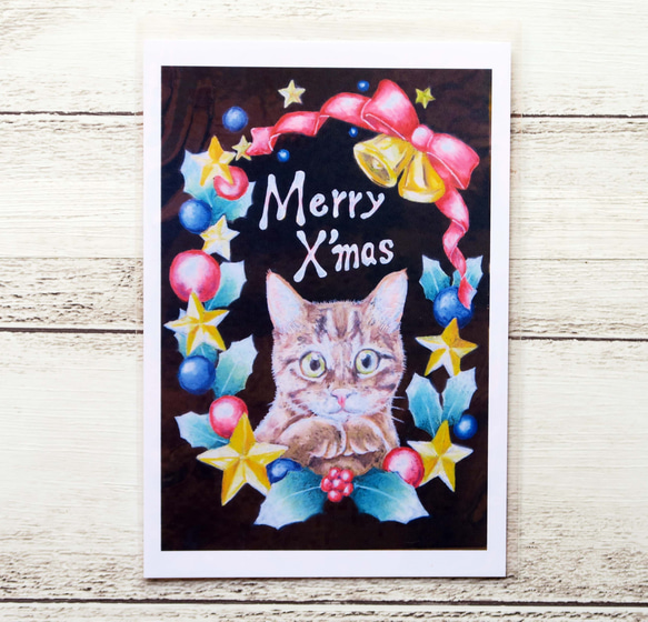 クリスマスにゃんこポストカード２枚組　キラキラリースに囲まれた猫ちゃんとサンタ帽を被ったもふもふ猫ちゃんのセット 3枚目の画像