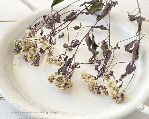 c2e6d5a1aceeef492e5d3e4bd0af52