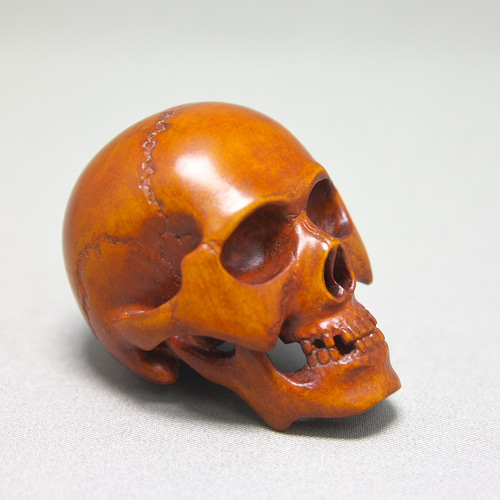 根付】髑髏 / しゃれこうべ（御蔵島産 黄楊材 使用） 彫刻 伝吉_