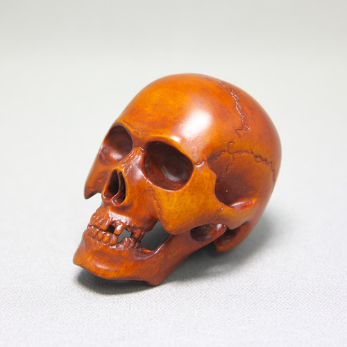 天然素材　髑髏　彫刻　根付　置物 天然素材 髑髏 彫刻 根付 置物 - メルカリ