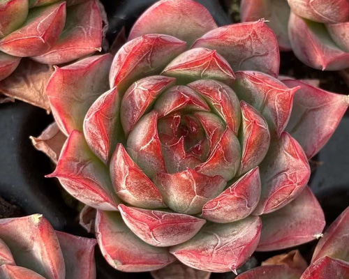 f5376c99a2200d52ab82359ea08b30