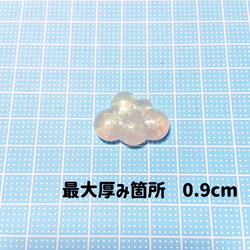 Snow mold 71 2枚目の画像