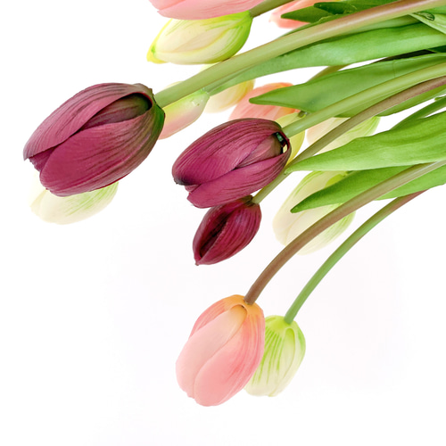 【即日発送ok】可憐なチューリップブーケ　ブートニア付き　ウェディングブーケ 可憐なチューリップブーケ