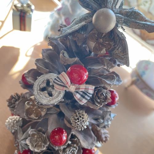 パワーいっぱい大王松♡大王松ぼっくり♡松ぼっくりの王様♡大王松の