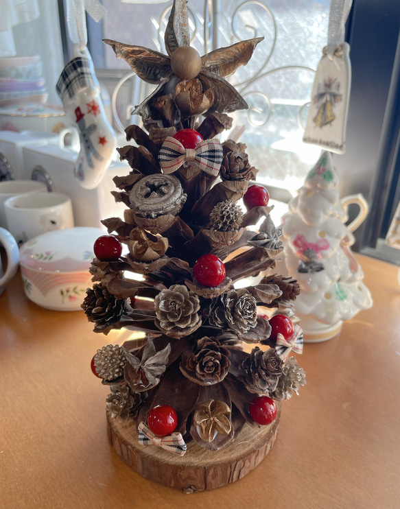 パワーいっぱい大王松♡大王松ぼっくり♡松ぼっくりの王様♡大王松の