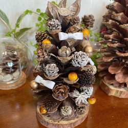 6d45d9cedbee4099e99d8147995546