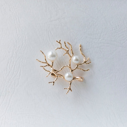 実になる木　シンプルなホワイト貝パールの実のブローチ　 7枚目の画像