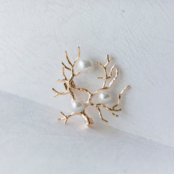 実になる木　シンプルなホワイト貝パールの実のブローチ　 1枚目の画像