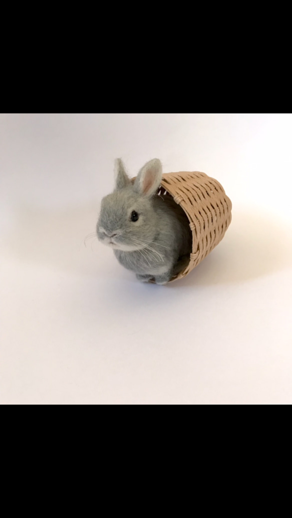 【返品不可】 うさぎ 羊毛 ミニうさぎ ネザーランドドワーフ 羊毛フェルト コーヒー