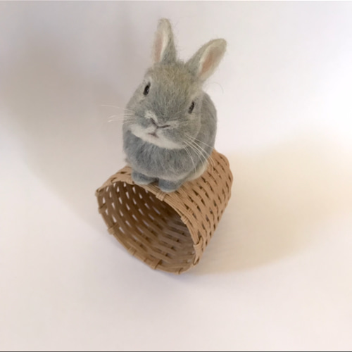 うさぎ 羊毛フェルト ネザーランドドワーフ ミニうさぎ 羊毛