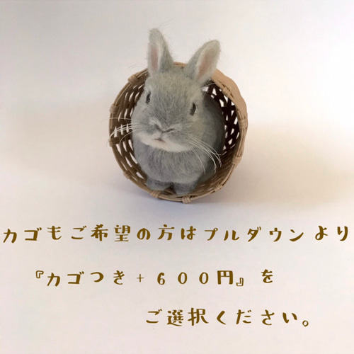 うさぎ 羊毛フェルト ネザーランドドワーフ ミニうさぎ 羊毛