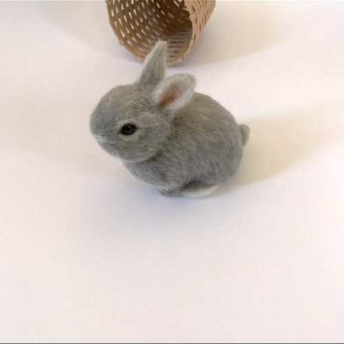 羊毛フェルト うたっち オレンジ ネザーランドドワーフ