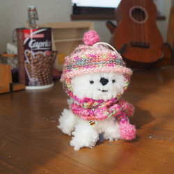 モフ犬(ホワイト・M)デイジーちゃん 9枚目の画像
